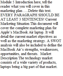 Module 1 Marketing Plan